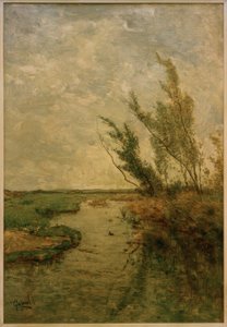 Polderlandschaft
