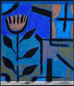 Nachtblume