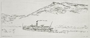 Dampfschiff auf dem Thunersee