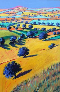 Cotswold-Tal, 2021 von Paul Powis