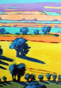 Cotswold Way Nahaufnahme 6 von Paul Powis