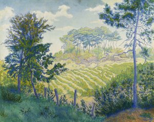 Weinberge unter den Kiefern; Les Vignobles sous les Pins, ca. 1898