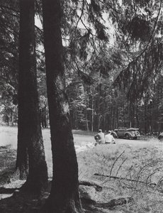 Eine Rast im Wald, Bayern von Paul Wolff