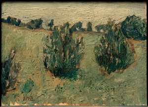 Landschaft mit Föhren