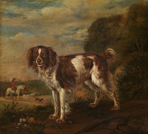 Ein Spaniel