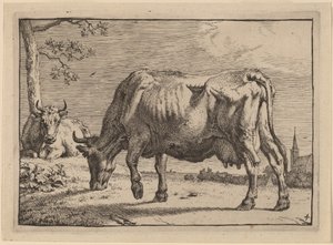 Weidende Kuh von Paulus Potter