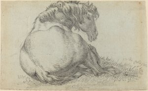 Ruhendes Pferd