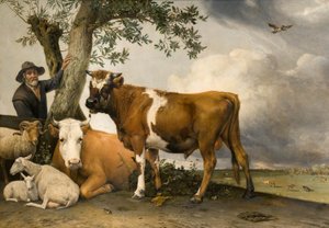 Der Stier von Paulus Potter