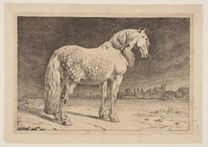 Das Friesenpferd, aus der Serie der Pferde