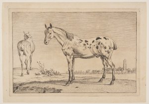 Das wiehernde Pferd, aus der Serie der Pferde
