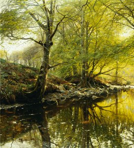 Eine bewaldete Flusslandschaft