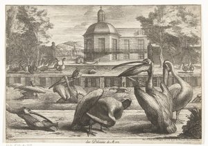 Pelikanen von Peeter Boel (attributed to)