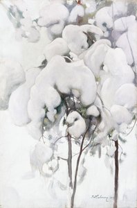 Schneebedeckte Kiefernsämlinge