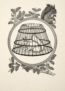 Ein Flüchtlingseichhörnchen, aus Hundert Anekdoten über Tiere, veröffentlicht 1924 von Percy J. Billingshurst