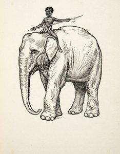 Reue, aus Hundert Anekdoten über Tiere, veröffentlicht 1924 von Percy J. Billingshurst