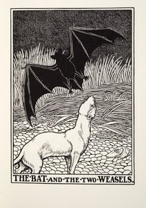 Die Fledermaus und die zwei Wiesel, aus Fontaine Fabeln, veröffentlicht 1905