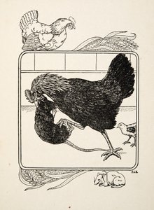 Der Heldentum einer Henne, aus Hundert Anekdoten über Tiere, veröffentlicht 1924 von Percy J. Billingshurst