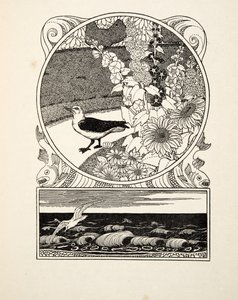 Die zahme Möwe, aus Hundert Anekdoten von Tieren, veröffentlicht 1924 (Gravur) von Percy J. Billingshurst