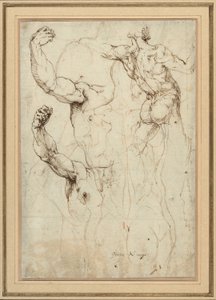 Studie eines nackten Rückens und zwei Studien eines Arms (recto); Nackter Rücken mit Nebenstudien einer Schulter und eines Beins (verso)