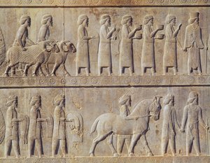 Detail des Relief-Frieses auf der Osttreppe zur Apadana (Audienzhalle), das Delegierte aus den unterworfenen Ländern des Reiches zeigt, die üppige Geschenke für eine Zeremonie bringen, Achämenidenzeit, ca. 515 v. Chr.