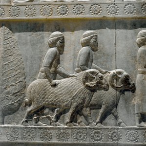Sogdianer bringen Geschenke zu Darius I. von Persian School