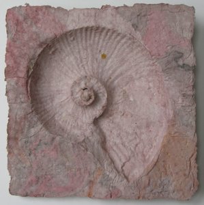 Helix 3 von Peter A Ford
