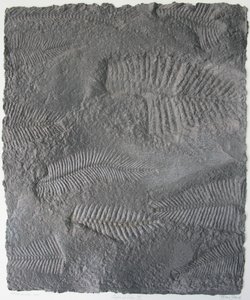 Lebenszeichen XVI von Peter A Ford