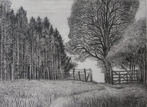 Der Waldweg - Frühling von Peter A Ford