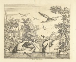 Drei Schwäne und andere Vögel an einem Teich