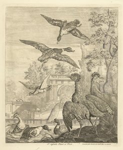 Enten und Reiher bei einem Vogelteich von Peter Casteels (III)