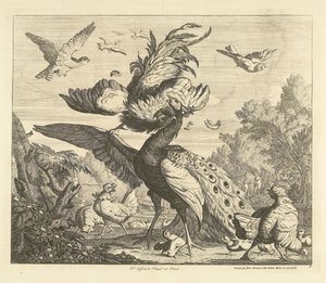 Hahn greift einen Pfau an (Verschiedene Vögel) von Peter Casteels (III)
