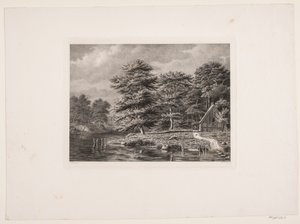 Fluss zwischen bewaldeten Ufern