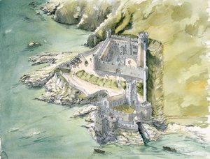 Dartmouth Castle von Peter Dunn