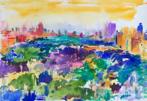 Central Park, New York, 2011