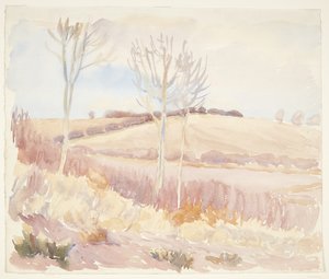 Landschaft auf Fünen. Frühling von Peter Hansen