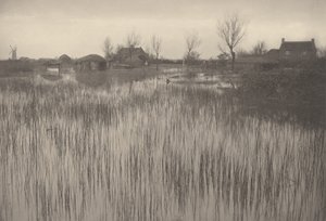 Ein schilfiges Ufer, 1886