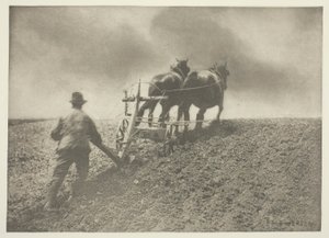 Ein harter Zug, (Suffolk)