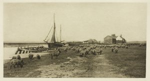Blackshore, River Blythe (Suffolk) von Peter Henry Emerson