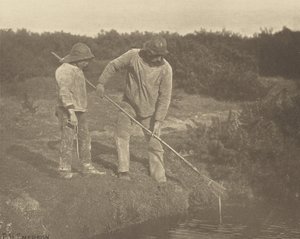 Aal-Fischen in den Gewässern von Suffolk von Peter Henry Emerson