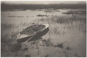 Schütze pirscht sich an Federwild heran von Peter Henry Emerson