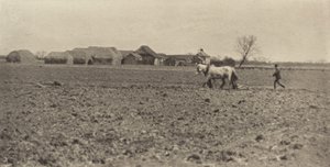 Sumpffarm im frühen Frühling von Peter Henry Emerson