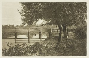 Auf der "Sau," in der Nähe von Waltons Haus in Shallowford