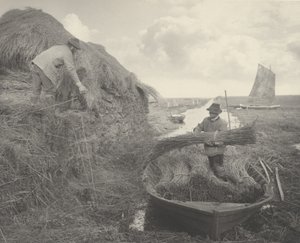Schilfrohr stapeln, 1886