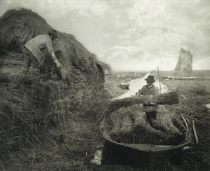 Das Aufschobern des Schilfs von Peter Henry Emerson