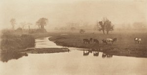 Schafe auf den Marschen [Landschaft mit Vieh]