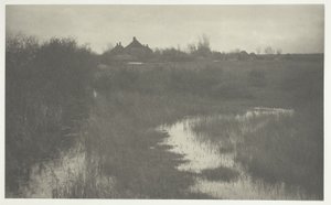 Der Rand des Sumpfes von Peter Henry Emerson