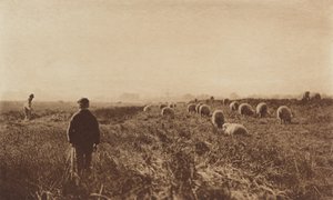 Die Sümpfe im Juni von Peter Henry Emerson