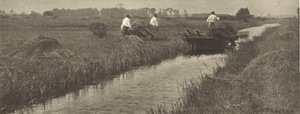 Die Ernte des Binsenschilfs von Peter Henry Emerson