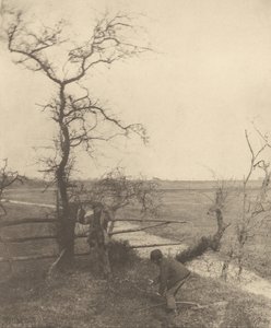 Die Zweigschneider