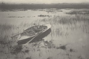 Schütze arbeitet sich zu Vögeln hoch von Peter Henry Emerson and T.F. Goodall